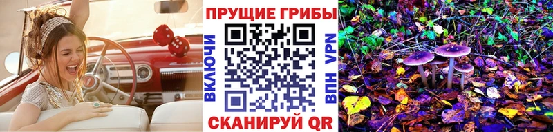 Псилоцибиновые грибы Psilocybe  Сертолово 
